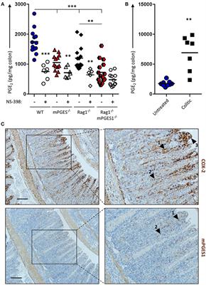 mPGES-1-Mediated Production of PGE2 and EP4 Receptor Sensing Regulate T Cell Colonic Inflammation